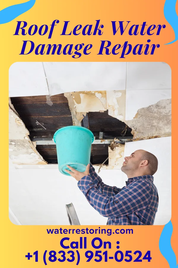 Roof Leak Water Damage Repair in Central, LA