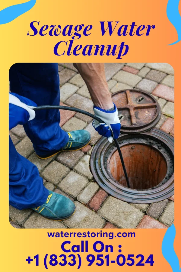 Sewage Water Cleanup in Central, LA