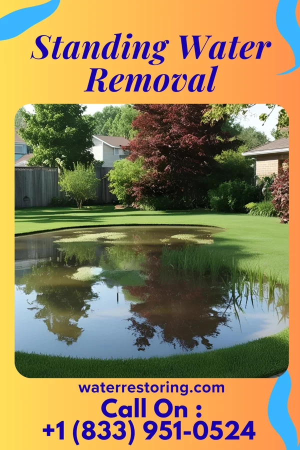 Standing Water Removal in Central, LA